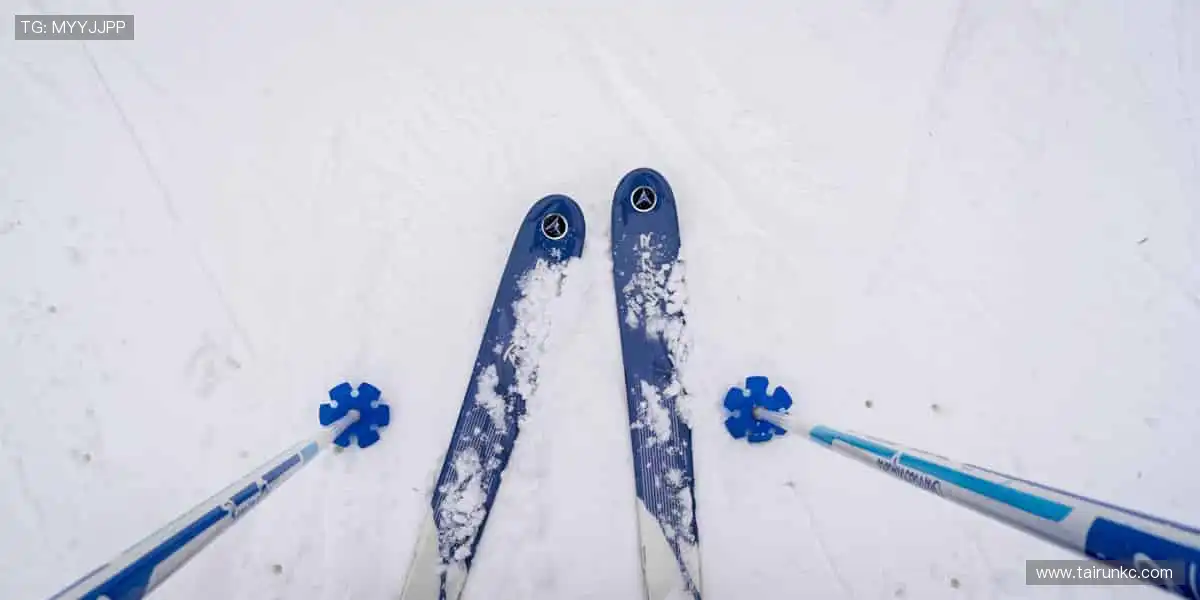 📱🏀 直播时刻，随时掌控！